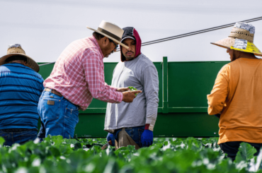 Venezolanos en Estados Unidos