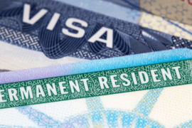 Carga Publica + Green Card + 2026